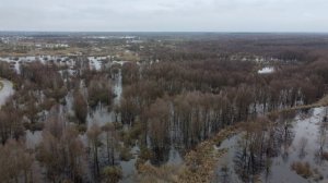 Разлив Воронежа в Добром с высоты птичьего полёта 2026