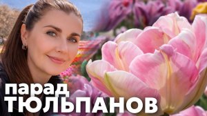 КРЫМ 2026. Парад ТЮЛЬПАНОВ во ВСЕЙ КРАСЕ! ПЫШНОЕ цветение! Когда действительно НАДО ПРИЕЗЖАТЬ в НБС