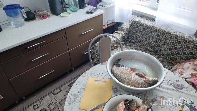 передаю приветы🖐//высадила томаты//,так вкусно😋, аж сопли текут😂