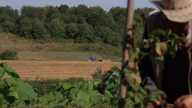 Kənd Həyatı. Уютный деревенский завтрак для начала дня