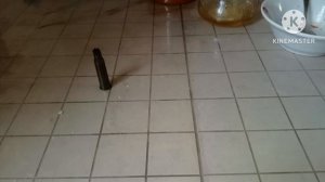 патрон 7,62 на 54р