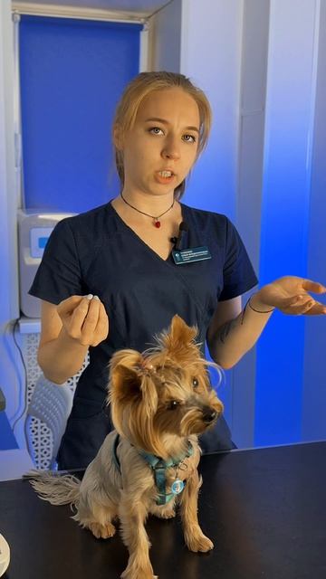 Плавских О.В.