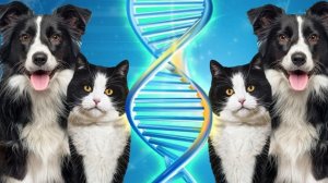 БОК О БОК С ЛЮДЬМИ.