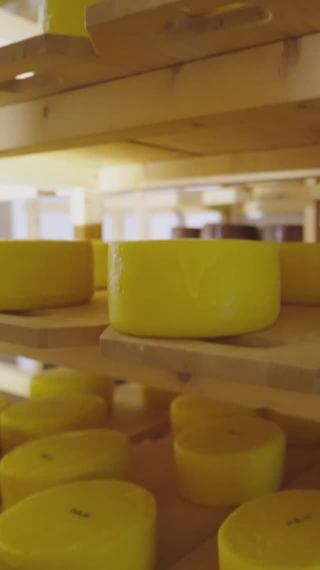 Отрывок 2  из документального фильма  Иркутская буррата