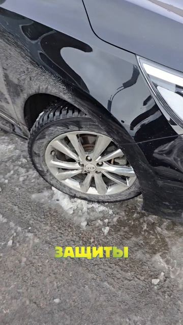 Carnival с замененным двигателем