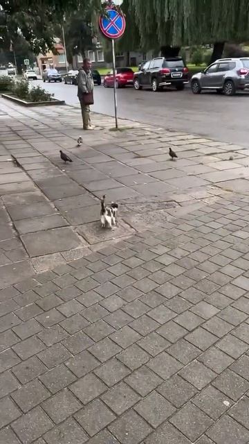 Юный охотник