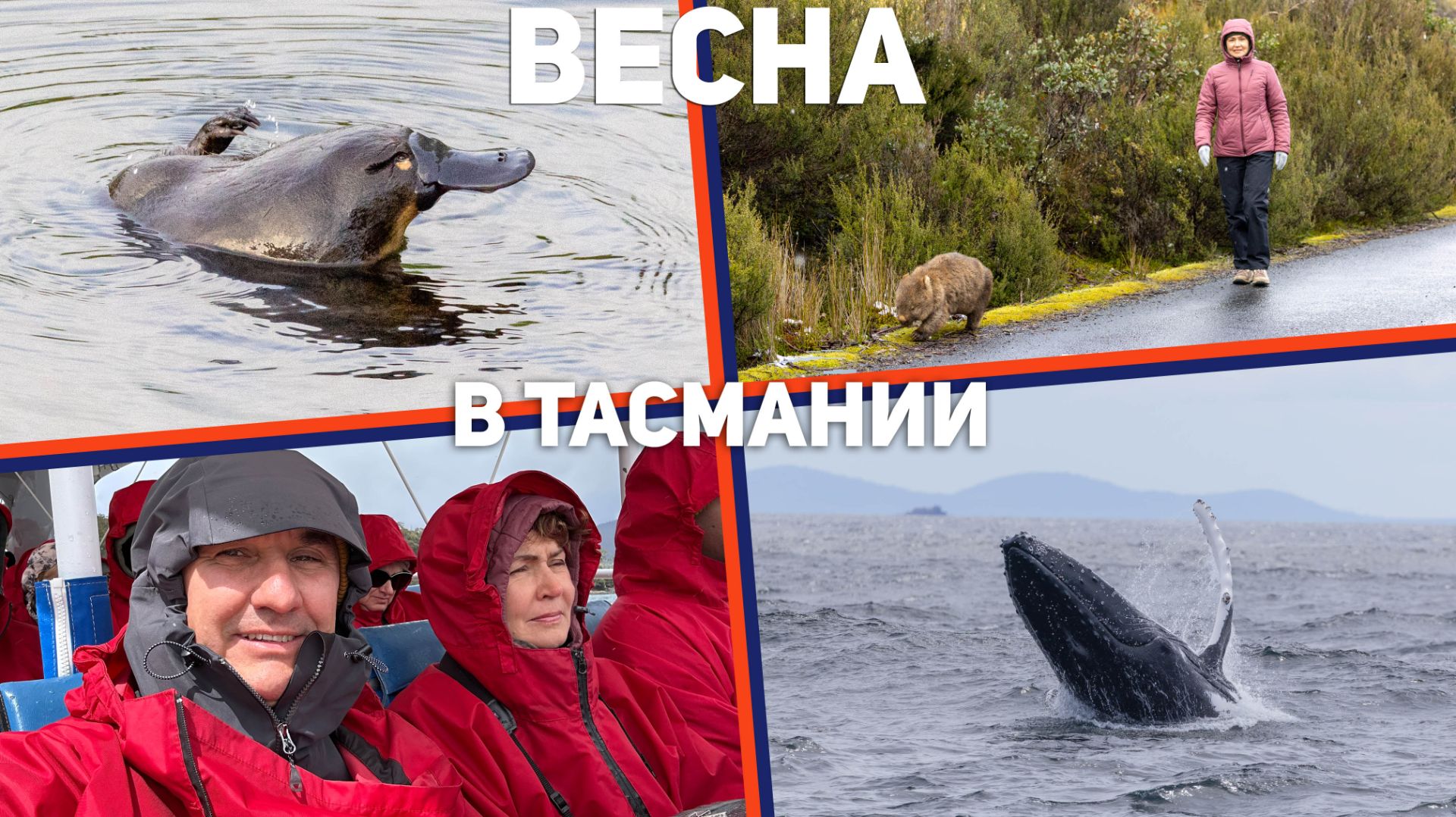 Остров Тасмания в Ноябре