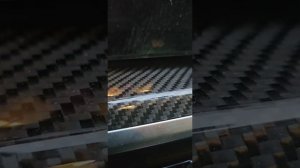 Аннигиляция_и_фрустрация_причина_и_следствие_античеловеческой_стратегии