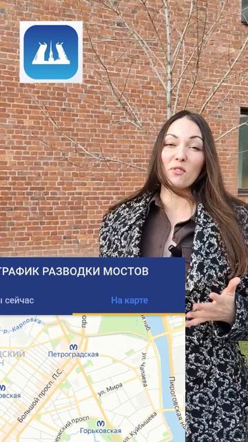 🌉 Ночные мосты Петербурга: магия, ради которой не спят