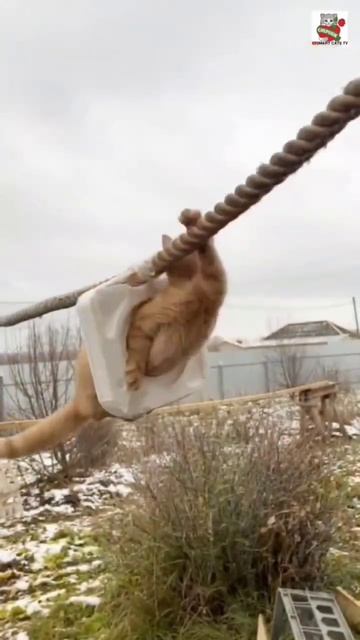 Высоцкий со своими песнями БЕССМЕРТЕН