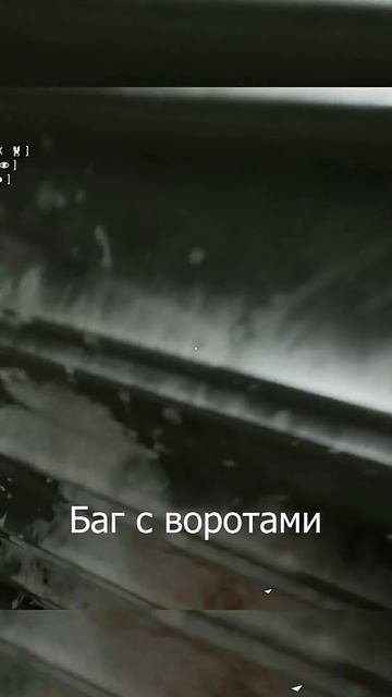 Баг с воротами (The Outlast Trials)