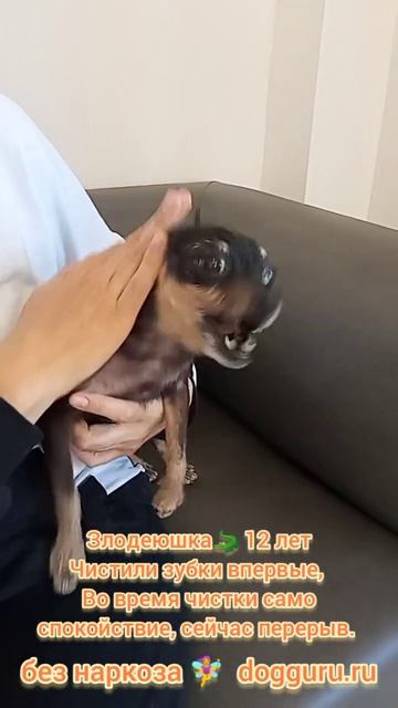 Тойчик злодеюшка полных 14 лет а не 12-ть, чистим зубки впервые, во время чистки само спокойствие