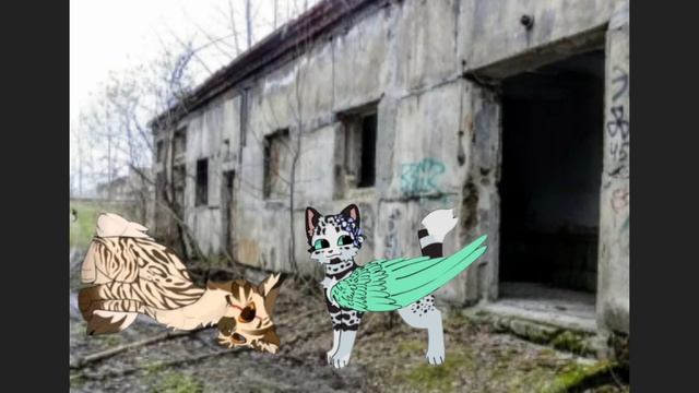 прикол со мной и с Пажей