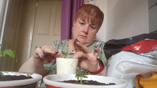 дела домашние/ огород/ распаковка/ болталка