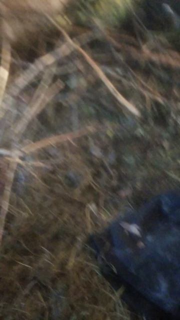 Разведение кроликов и мелкие сложности