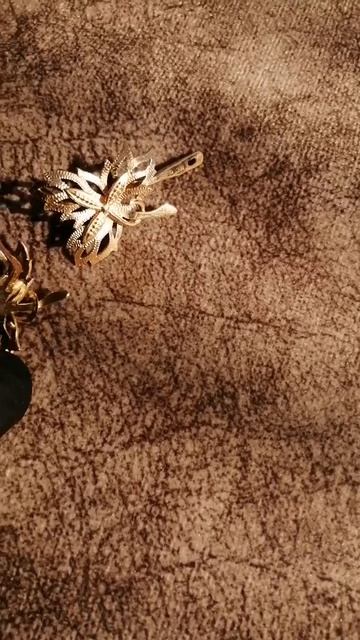 petal_20260417_131636