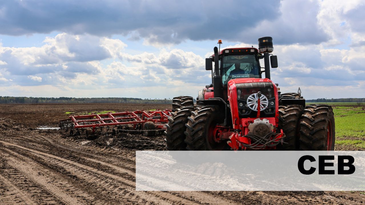 Сев кукурузы