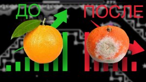 Как Apelsin GD Вновь Опозорился...