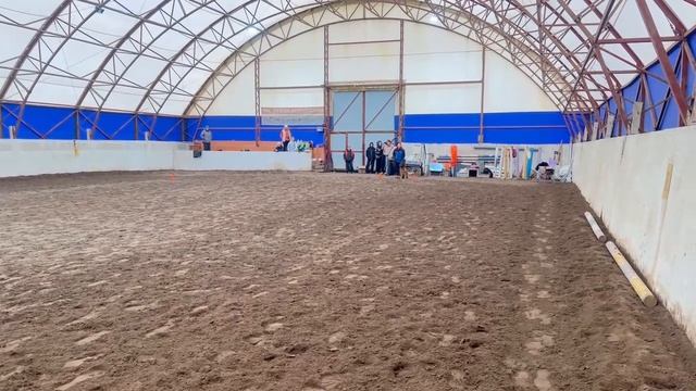 8.  выражено/пож СОБАКА СЕВЕРА ЦЕРЦЕЯ (Ulk V. Fichtenschlag – Зависть Богов Барбари)