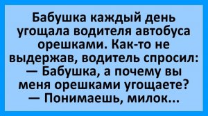 Анекдоты | Ночь. В спальню родителей пришлепывает Вовочка... | Анекдоты смешные | Юмор