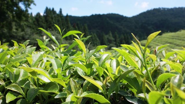 В мире интересного Французов Богдан 16.04.2026