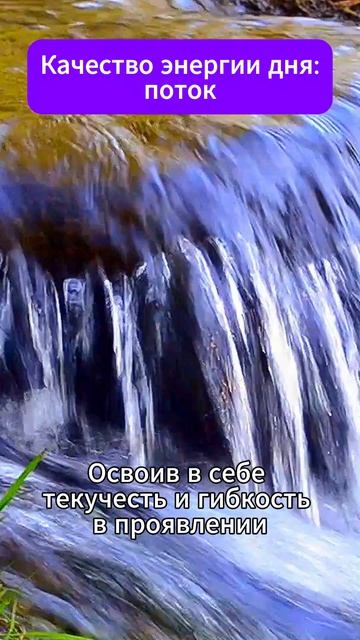 Поток. Качество энергии дня. 17.04.2026