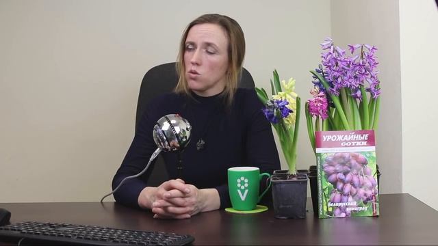 Плодовые деревья и кустарники: ответы на популярные вопросы