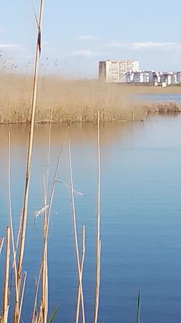 VID_20260416_141601.mp4