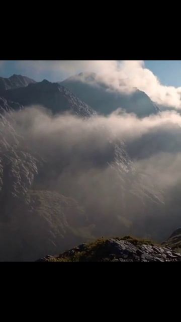 #медиасоздатель #инфлюенсеры #социальныеплатформы #контентменеджмент