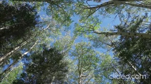 Ценность в оправданьях не нуждается