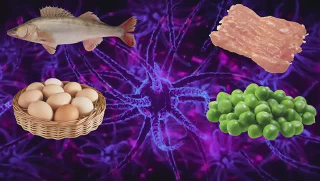 Школа здоровья. Память