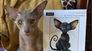 Вышивально-рукодельная неделя с 6 по 12 апреля 2026г//Финиш и новый старт