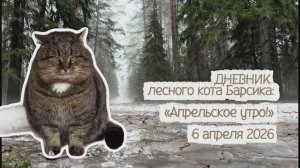 ДНЕВНИК лесного кота БАРСИКА «Апрельское утро!»  - 6.04.2026
