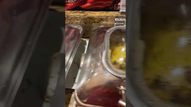 Amwaj Rotana 5 * Dubai  Ужин в Ресторане Horizon