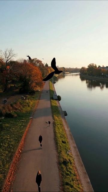 Прогулка вдоль реки в осеннем парке 🍂 #осень #природа #прогулка