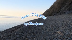 Анапа 17.04.2026 про Дельфинов
