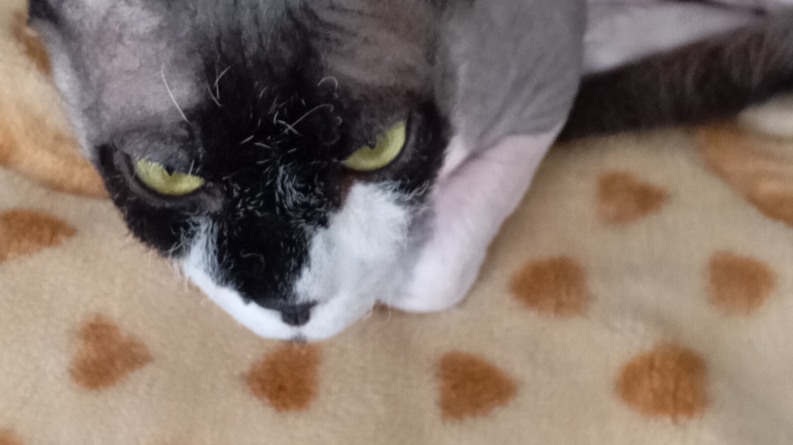 Марсель балуется