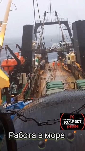 На моря, на моря, на моря. Ради
настоящего дикаря 
#РАКЕТА