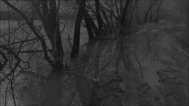 Дорога к Дону - С.А. (Стихи Мои , музыка , голос ИИ)