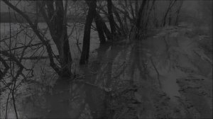 Дорога к Дону - С.А. (Стихи Мои , музыка , голос ИИ)