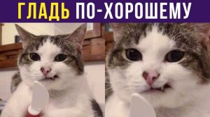 ГЛАДЬ ПО-ХОРОШЕМУ) Приколы