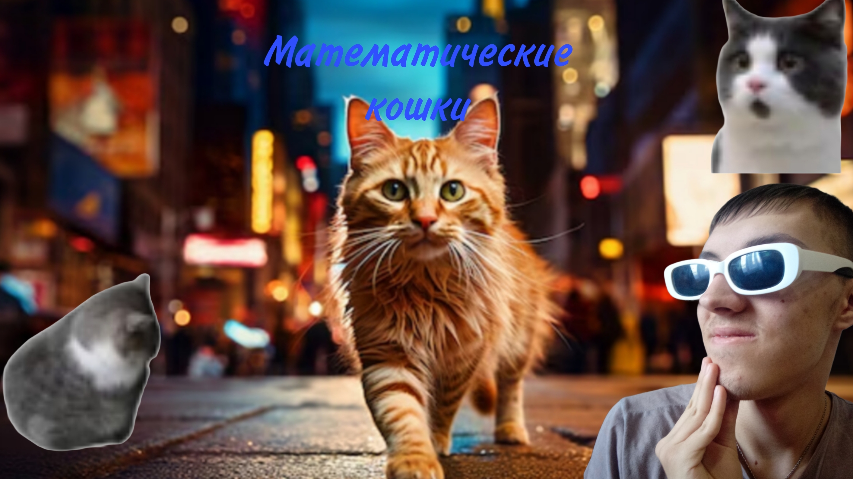 Математические кошки (Югослав Дима)
