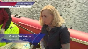 Свыше 300 нижегородцев поучаствовали в субботнике на берегу Мещерского озера