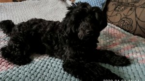 17-04-2026 что случилось с Мастером🌈🌈🌈🌺небольшой привоз пряжи🌺🌺🌺🌺