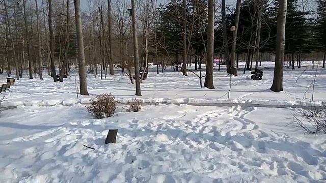 Татьянин днеь. 25.01.2021