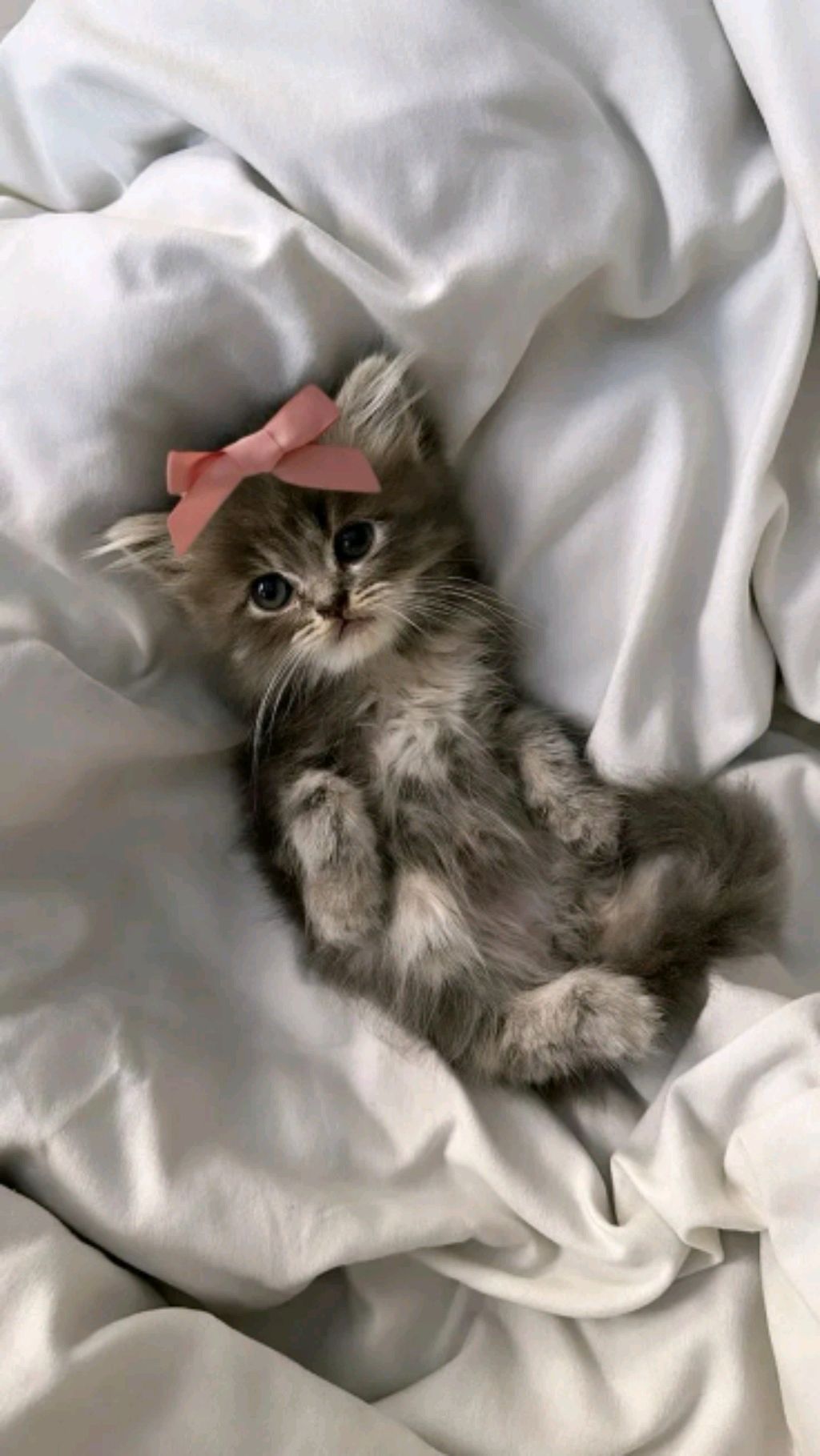 на урокееее