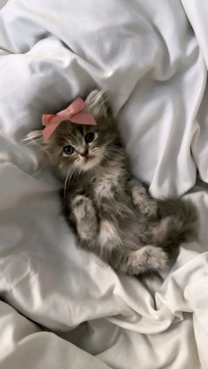 на урокееее