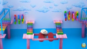 Хомячок сталкивается со свирепой акулой, убегая из лабиринта! часть 5