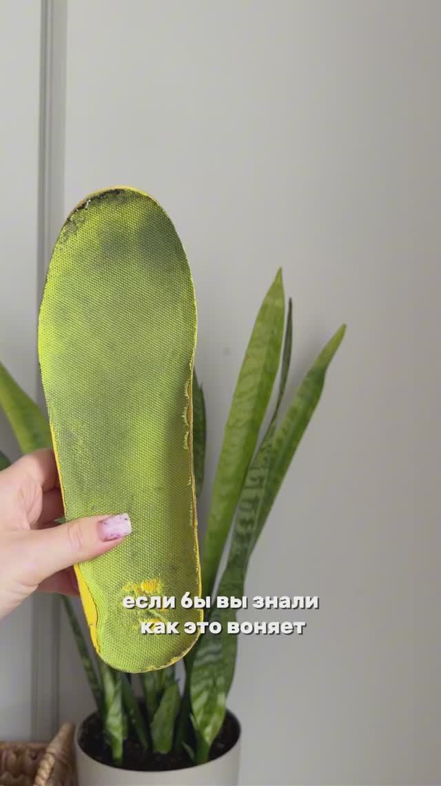 Стельки от запаха пота Арт WB: 909879681