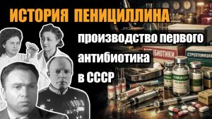 История пенициллина: производство первого антибиотика в СССР